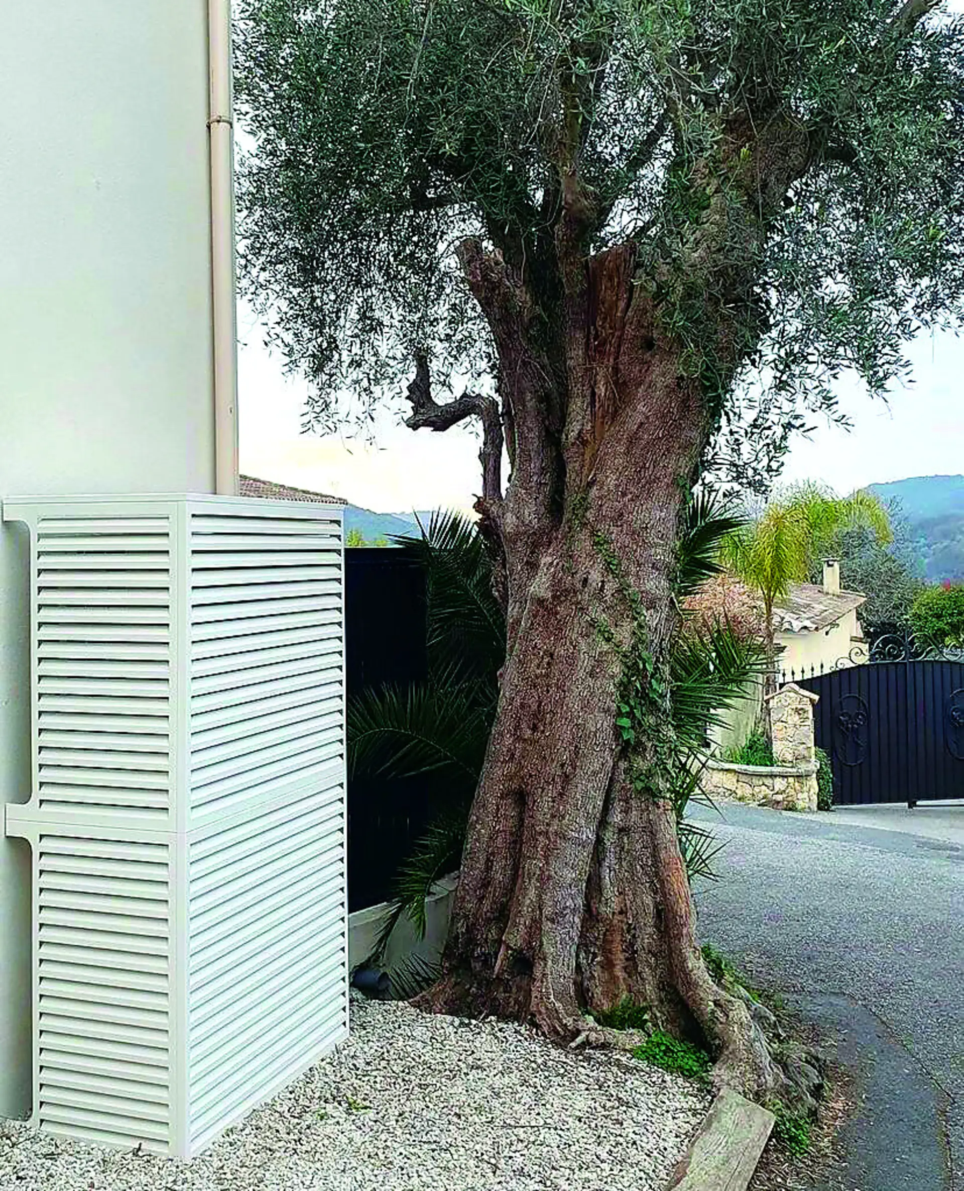 Cache-clim Devaux installé contre un mur, au pied d'un olivier centenaire