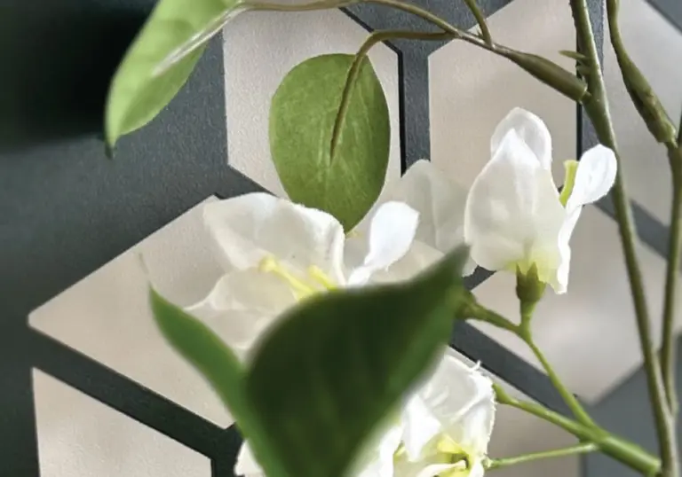 Cube + jardinière <br>pour végétaliser votre installation